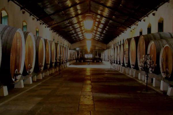 Bodega Regional Colares